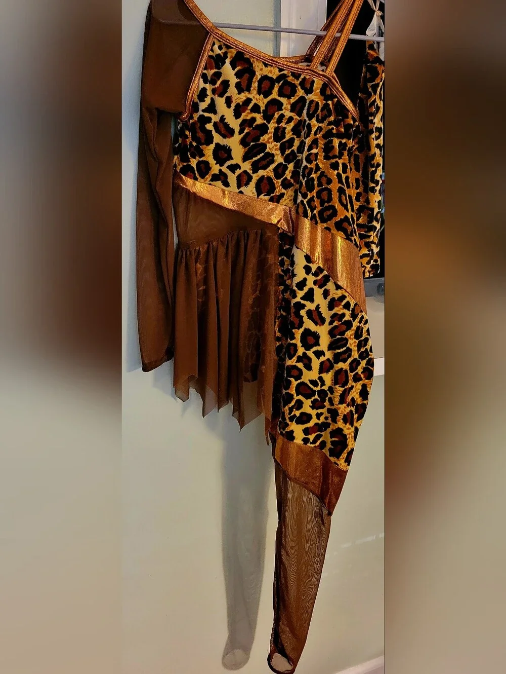Leopard Print Brown Mesh Costume